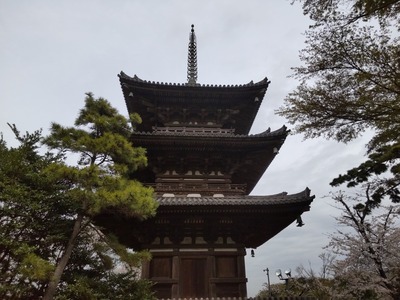 三渓園三重塔の写真