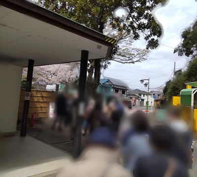 三渓園入り口の行列の写真