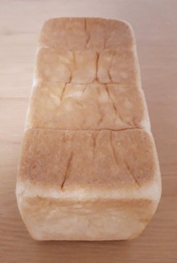 nikinを正面から見た写真