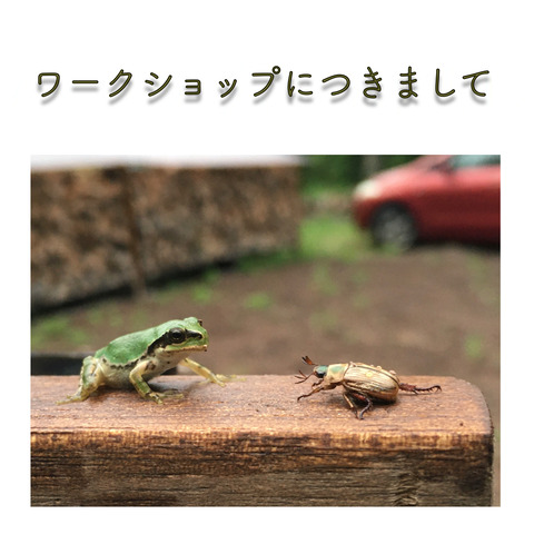 54D305F5-9F99-440B-8852-0F4D58CC5211