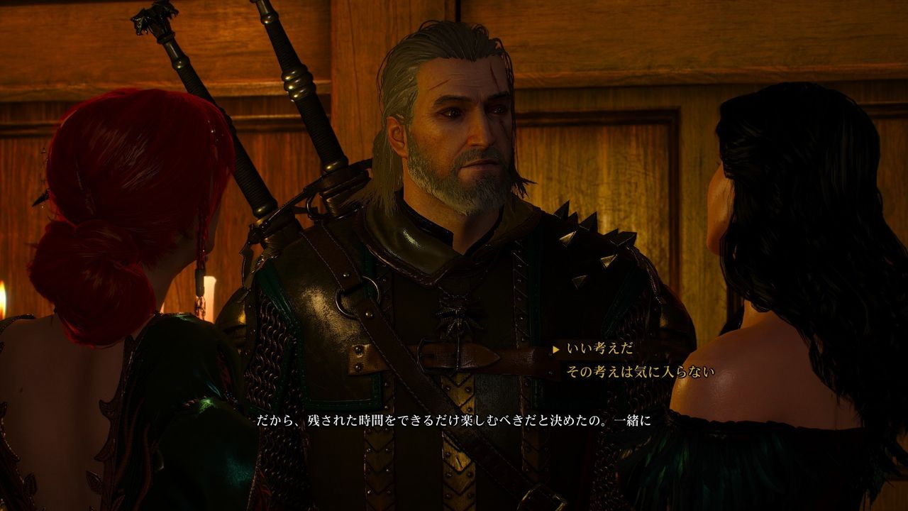 The Witcher 3 その 気の向くままに趣味三昧