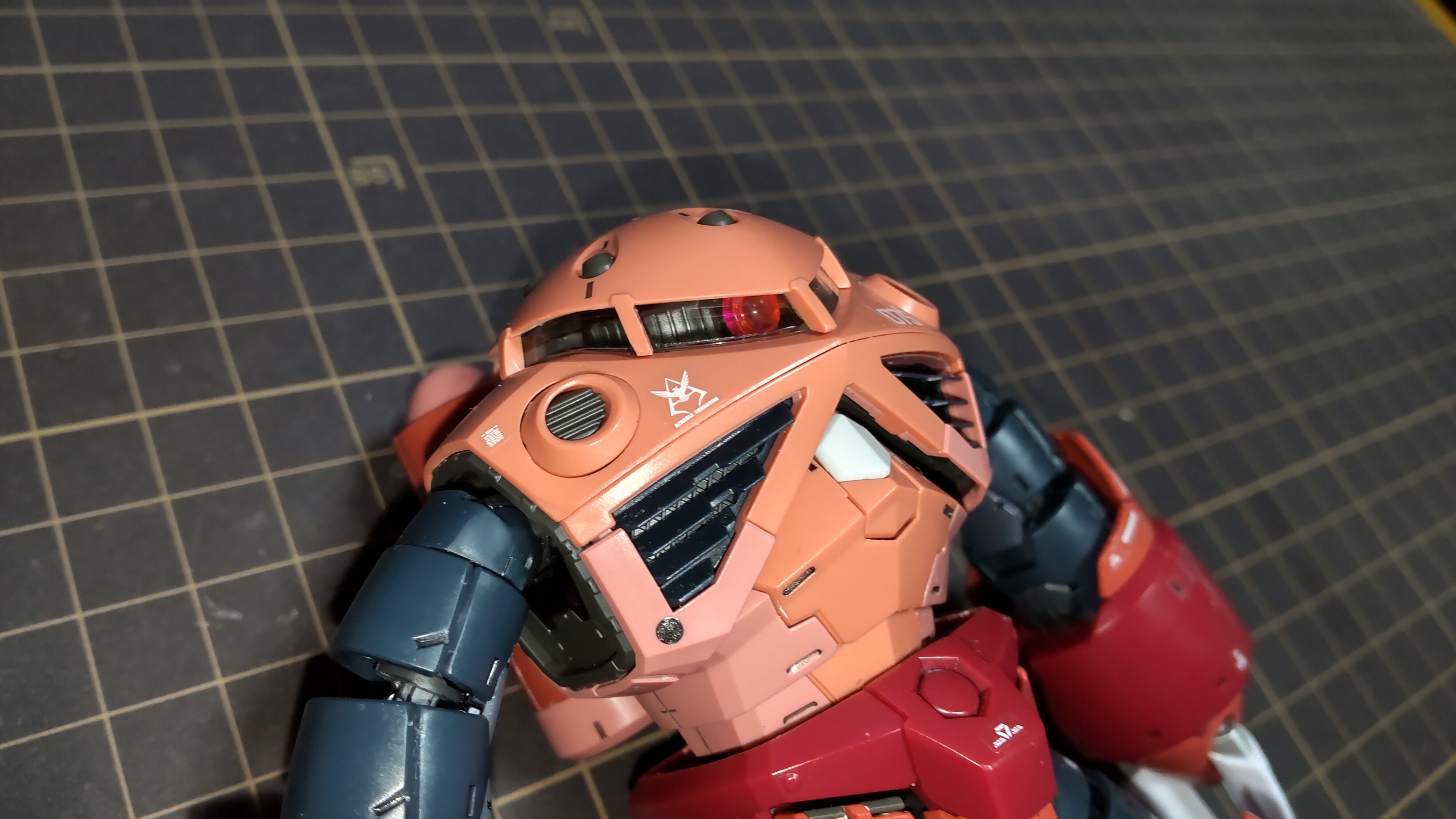 ガンプラ Rg シャア専用ズゴック 気の向くままに趣味三昧