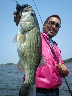 blog_import_4f2804f962c94