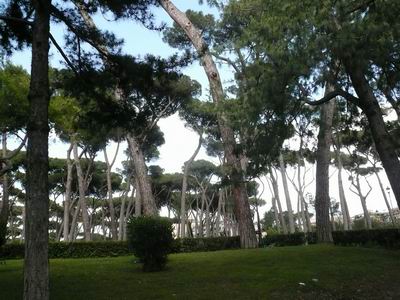 Villa Borghese 1