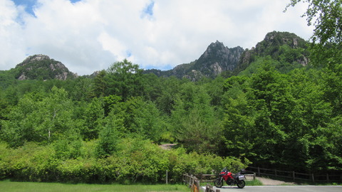 20200620 07瑞牆山自然公園