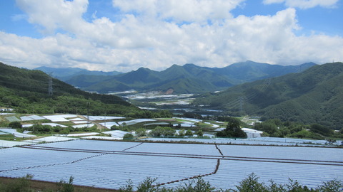 20200620 05馬越峠を越えて