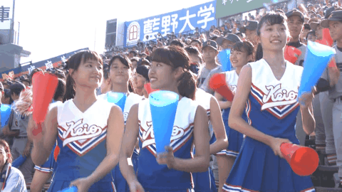 女子 甲子園の応援なんかしたくない 野球興味ないしみんな冷めてるし予選で負けて 虎 Lucky 女子 甲子園の応援なんかしたくない 野球興味ないしみんな冷めてるし予選で負けて 虎 Lucky