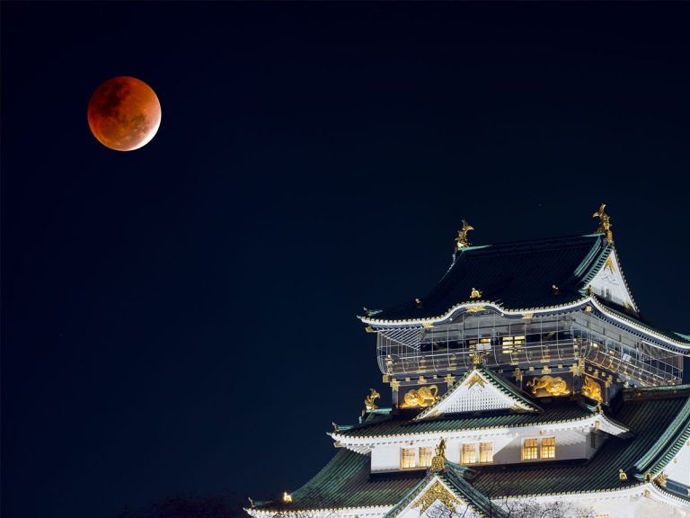 今夜のスーパームーン皆既月食中に願い事をすると良いらしいよ 虎 Lucky 今夜のスーパームーン皆既月食中に願い事をすると良いらしいよ 虎 Lucky
