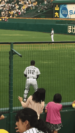 悲報 阪神タイガース藤浪 キャッチボールすら危うくなる 虎 Lucky 悲報 阪神タイガース藤浪 キャッチボールすら危うくなる 虎 Lucky