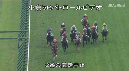 藤田菜七子が落馬して担架で運ばれる 虎 Lucky 藤田菜七子が落馬して担架で運ばれる 虎 Lucky