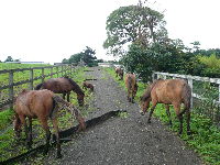 P1070912