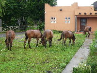 P1070899