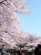 2010040315020000