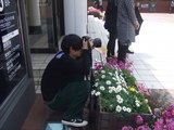 DSCF6069