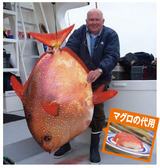 アカマンボウ
