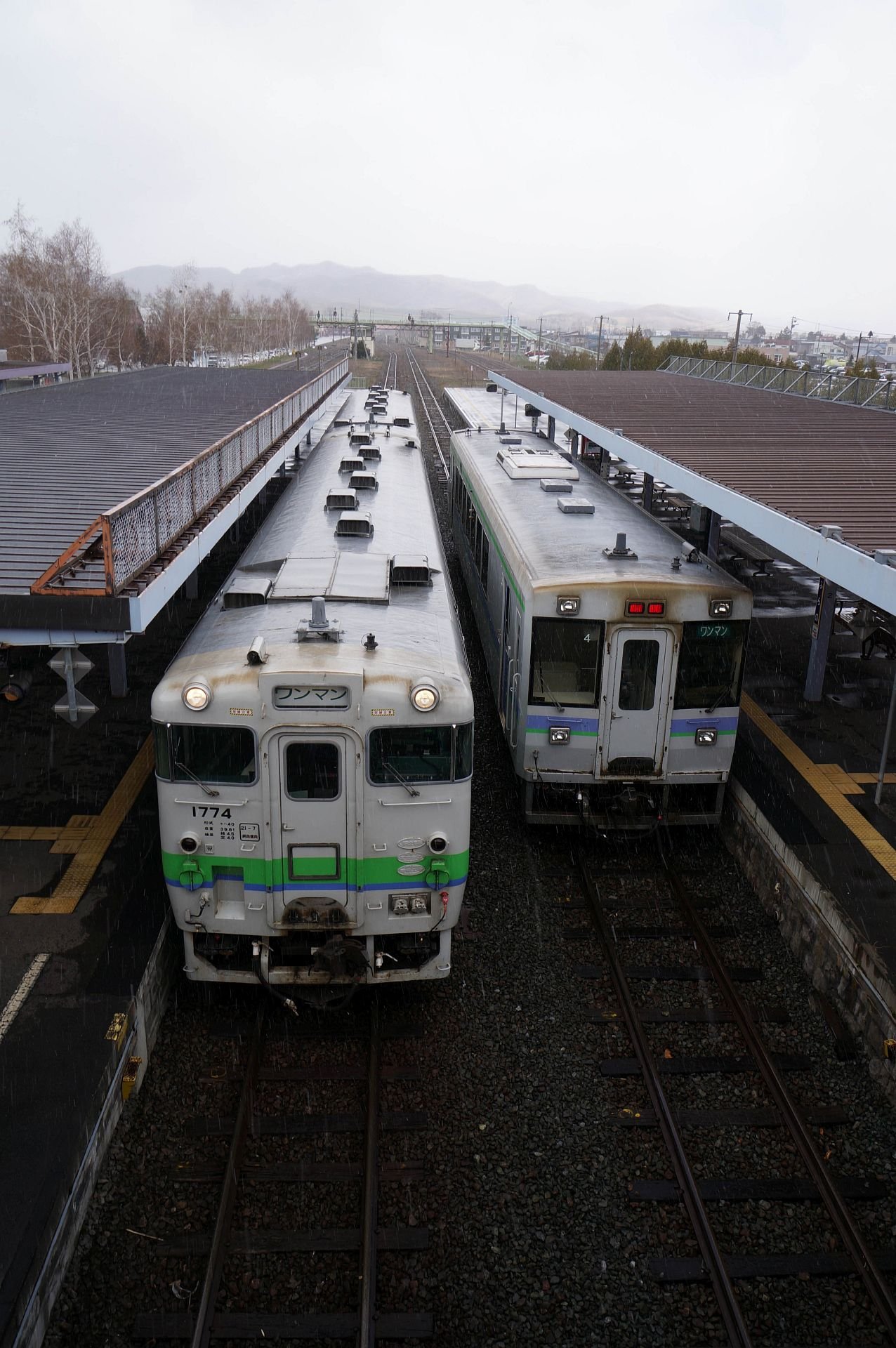 旅3日目：最長の普通列車2427D : しまDiary