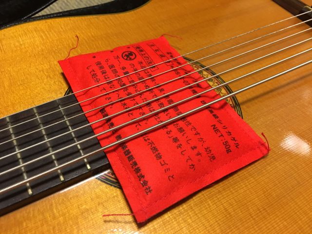 ギターペット しまdiary ギターペット しまdiary