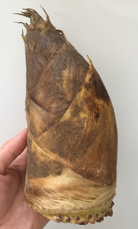 6C3D255F-5869-4F1D-B8EE-AB207A1FF040