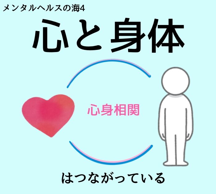【メンタルヘルスの海4】心(脳)と身体のつながり① : TKU-blog