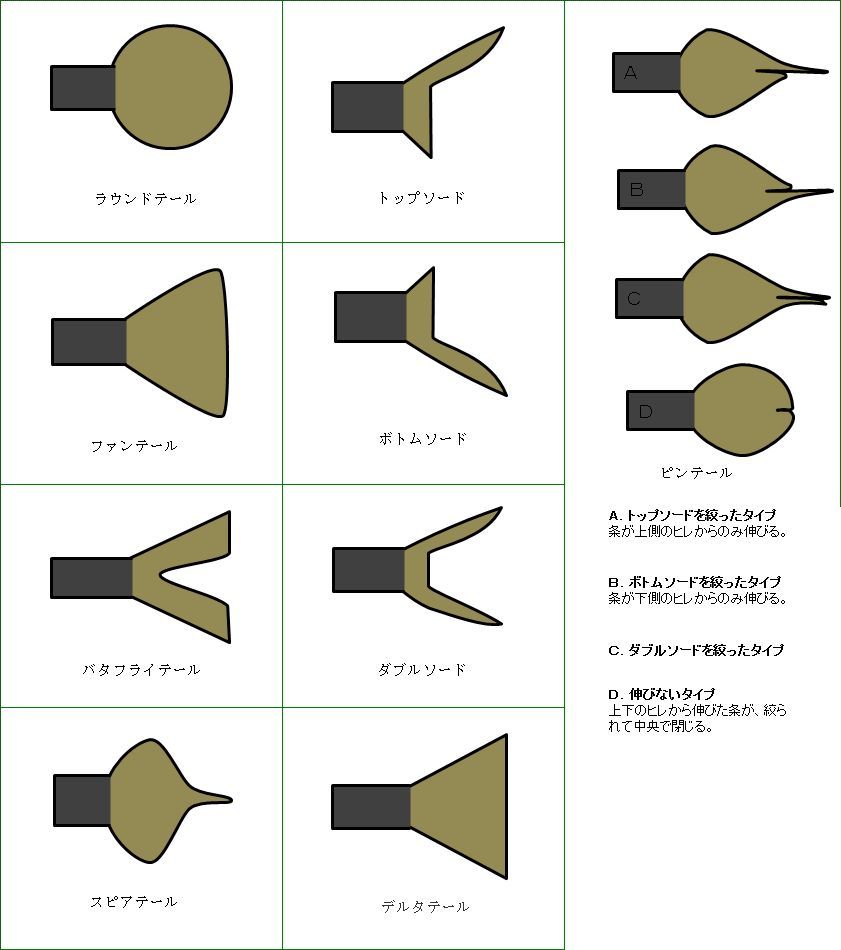 改良 メダカ 品種