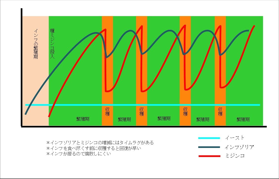 ミジンコの飼育法 爆殖編 大地の民の日記