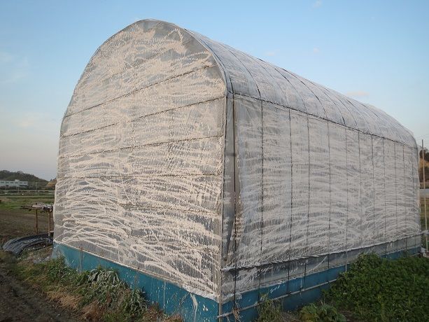 ビニールハウスの暑さ対策 大地の民の日記 ビニールハウスの暑さ対策 大地の民の日記