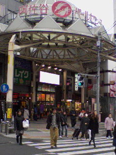 20090123_ayumi_asagaya2.jpg
