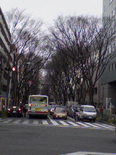 20090123_ayumi_asagaya1.jpg