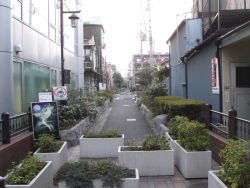 kouenji_20100107_02.jpg