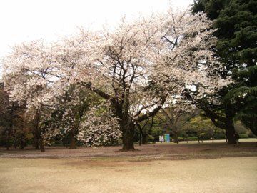 RIMG0039.jpg