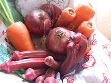DSCF2240.JPG