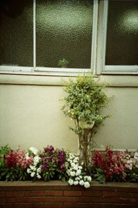 080404_LOMOfilm100_LCA29.jpg