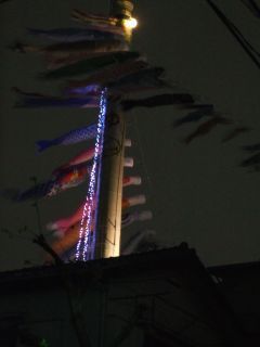 これだけ数多いと、見てて”壮観”ですよー。電車から見えるんで見てみて!北側ね。北側。