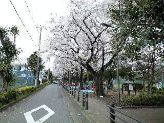 080330_1036~0002.jpg
