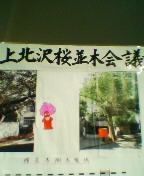 sakuranaminimini.jpg