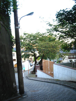 DSC09051.JPG