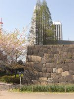 常磐橋公園　桜と石垣