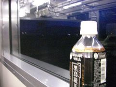 tottori-kaeri1.jpg