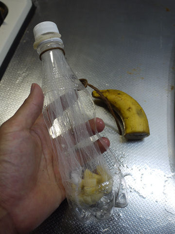 20100808_nikotama_01.JPG