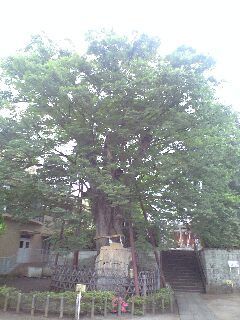 PA0_00082.JPG