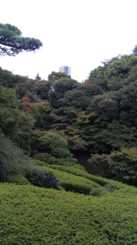 ikedayama-park-naiya (3).JPG