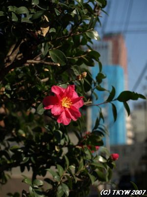 071218-02.jpg