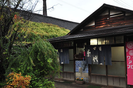 midori_tiyonoyu_01