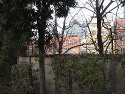kouenji_20100107_10.jpg