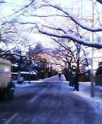 2006yuki13.jpg