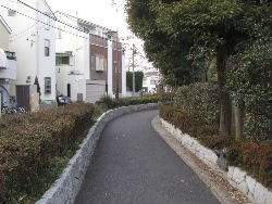 kouenji_20100107_08.jpg