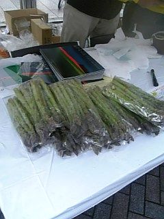 08-05-31_11-46.jpg