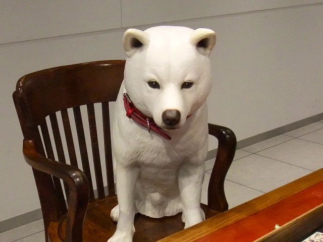 DSCF0005