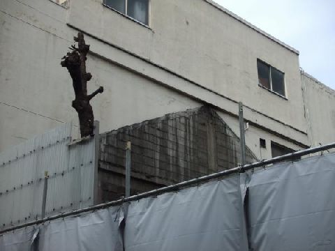 chuoku_kimurayu_03.jpg