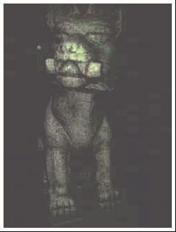 854948c8.jpg